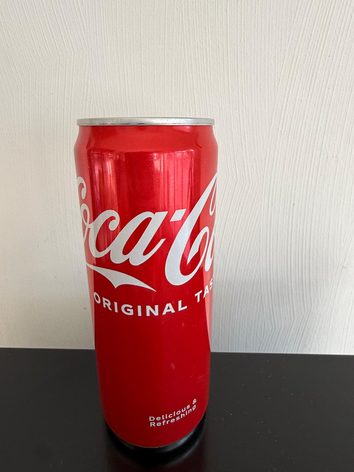 Coca Cola 24 x 0,33 Dosen