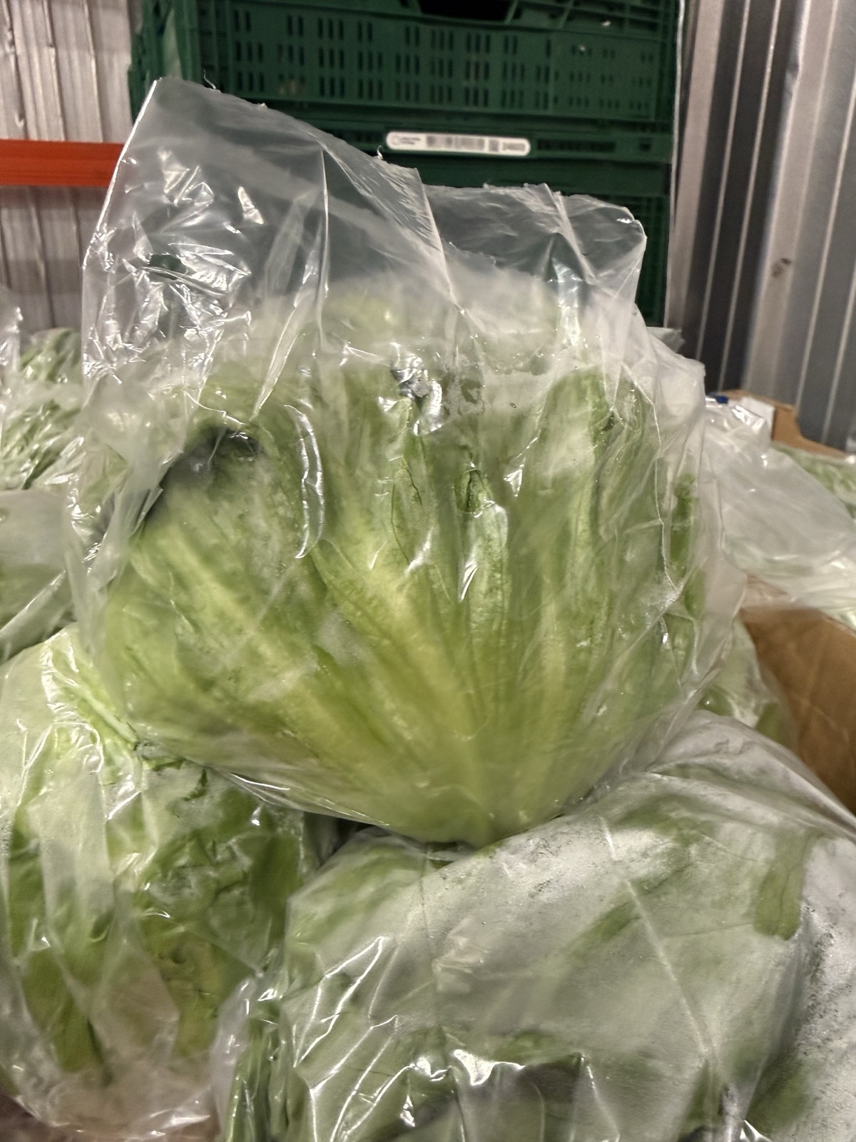 Eisbergsalat Kiste
