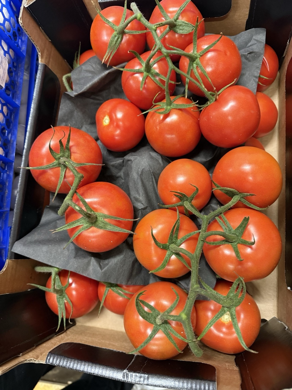 Tomaten 5kg Kiste